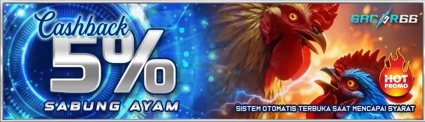 Sabung Ayam